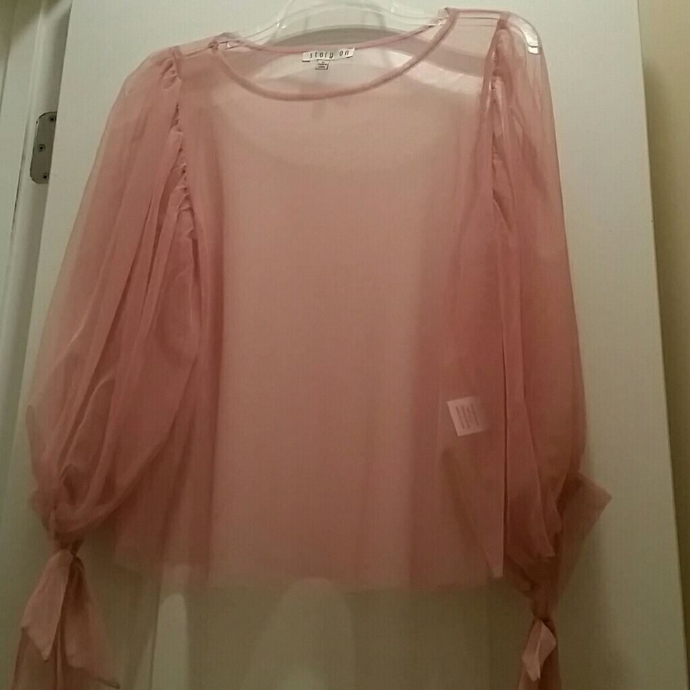 Blush sheer top